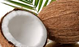 Picolé Coco branco